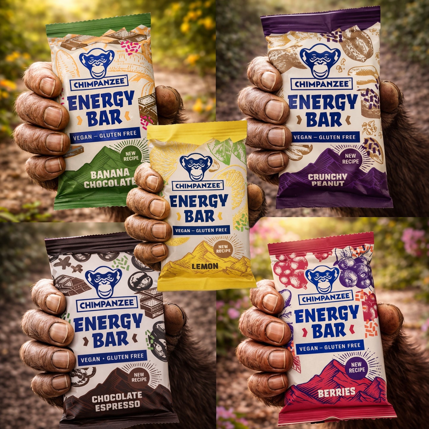 Energy Bar Far North Favourite (15 Stück) | Chimpanzee